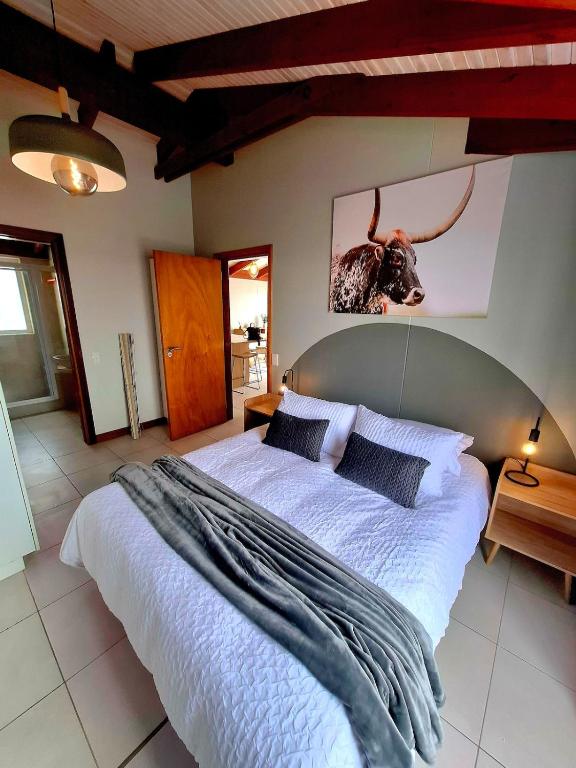 Suite 24 at Stadtmitte Central Self-Catering, Swakopmund
