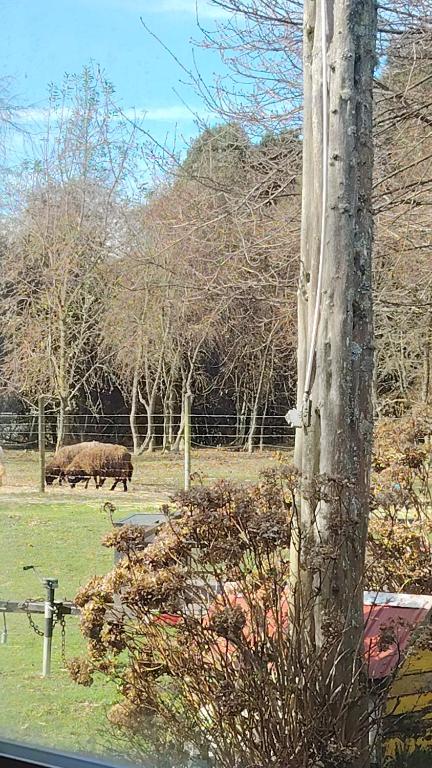 Las curvas de Olivia - 1