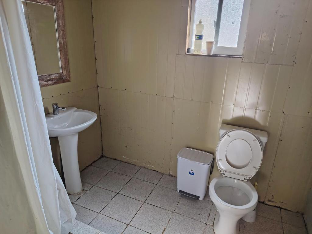 Las curvas de Olivia - 3