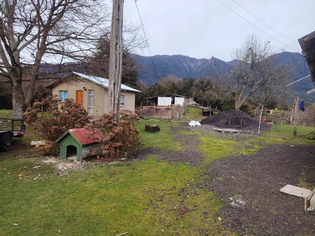 Las curvas de Olivia - 4