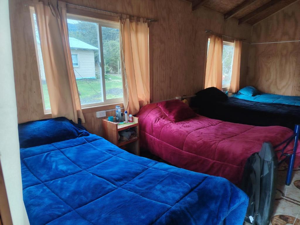 Las curvas de Olivia - 5