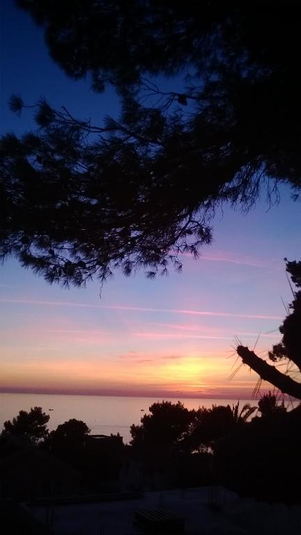 Surrounding environment