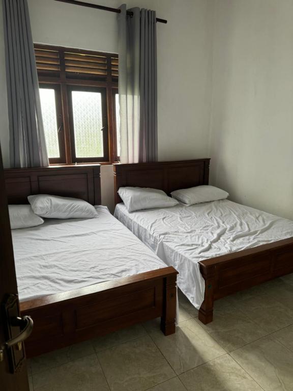 Elephant view, Anuradhápura