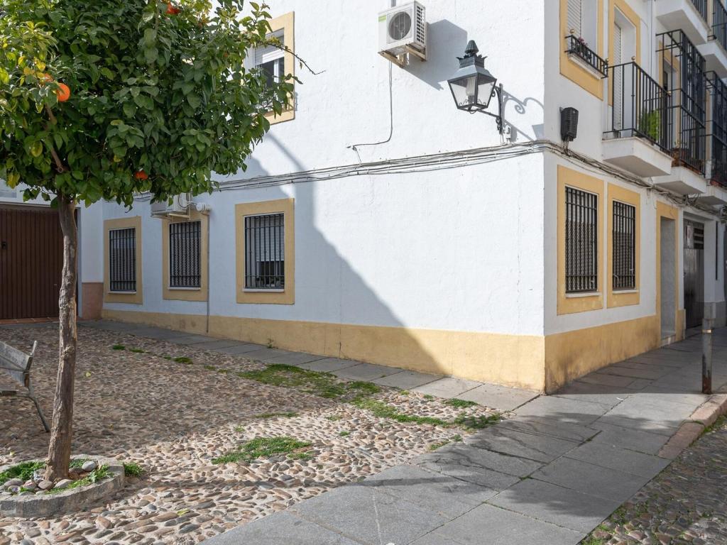 Nayber Gavia - Nuevo y centrico apartamento en Cordoba - 3