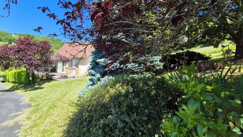 Nise à Sarlat sur les hauteurs - 4