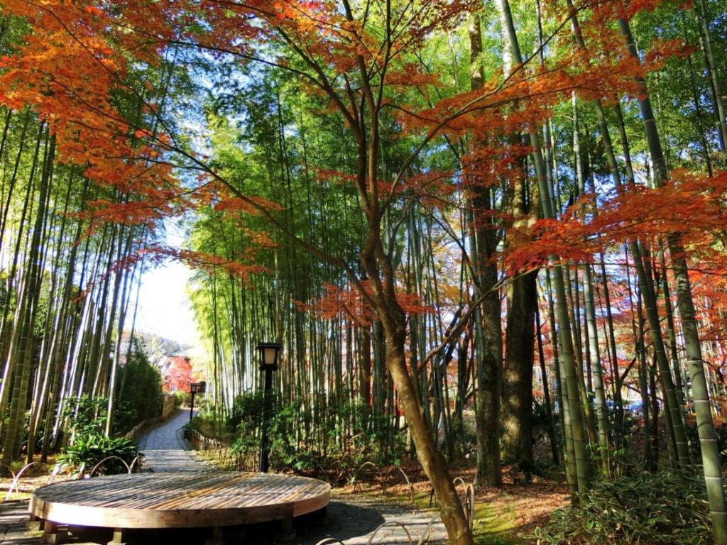 Nearby attraction