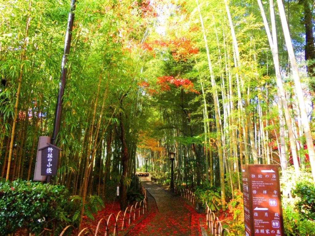 Nearby attraction