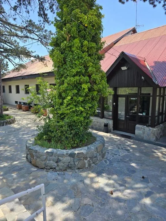 Jubilee Hotel Troodos, hotel in Troodos