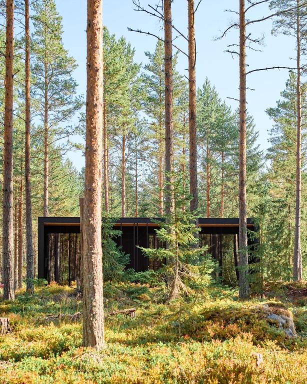 Architect-Designed Cabin In Söderhamn Archipelago, Söderhamn