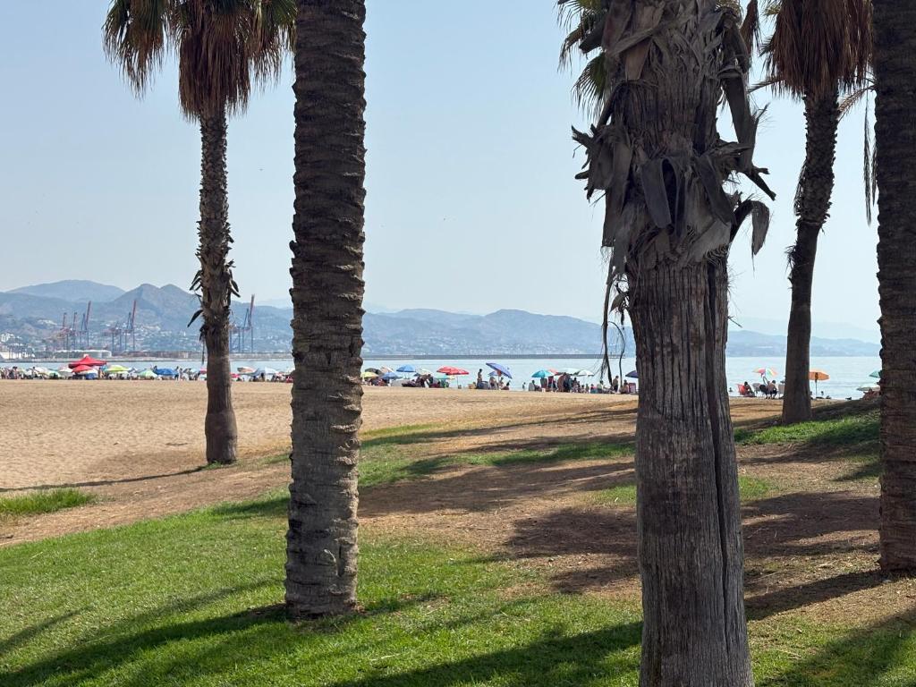 Agreda playa - 3