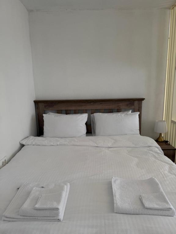 Durmitor Peaks and Pines - 4