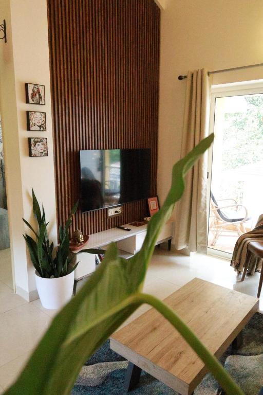 Anjuna Abode, Andžuna