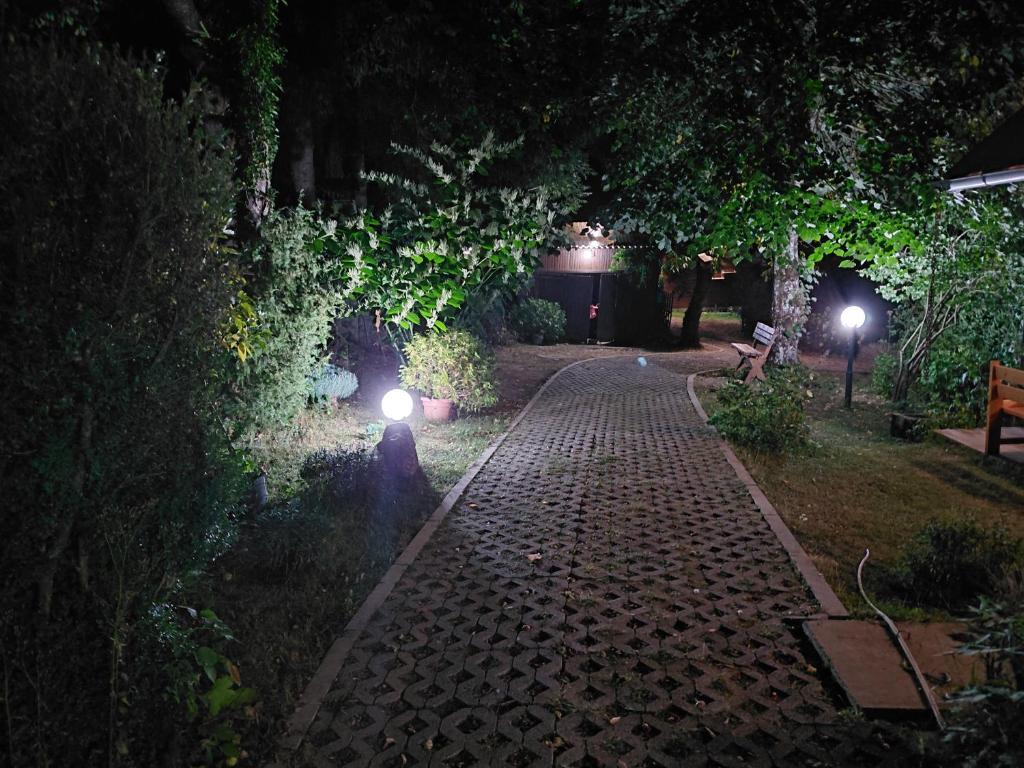 Top Hill Lodge - 2