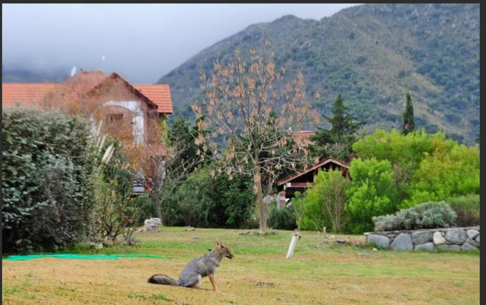 Casa en las sierras de Merlo - 2