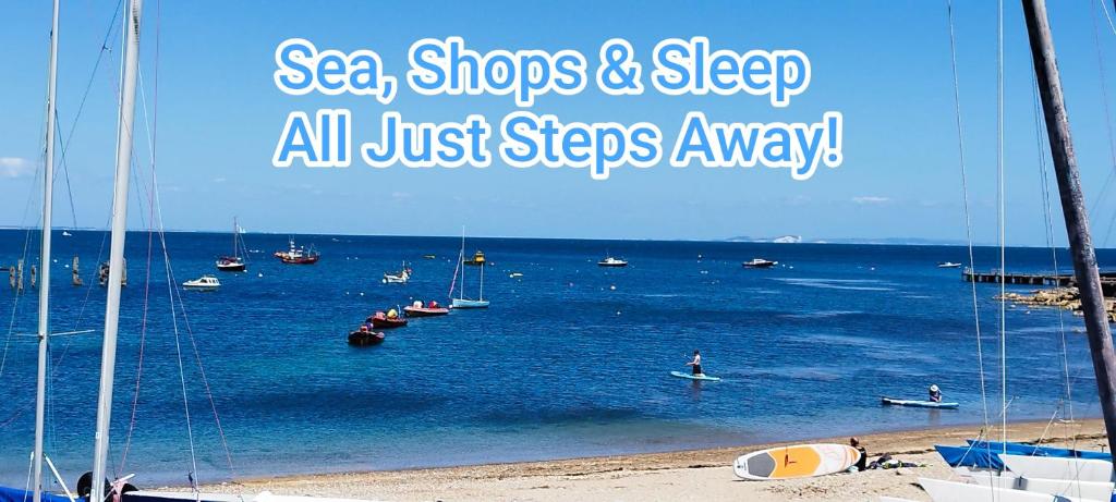 Blue Palms, Bournemouth