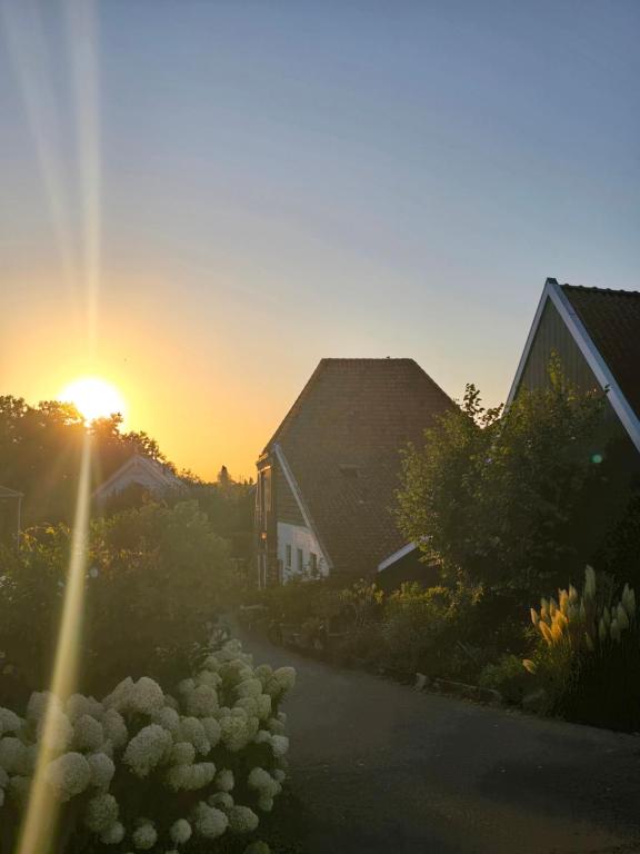 Ossestal, Assendelft