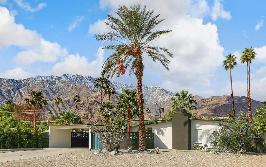 Bright & Harmonious Oasis, Palm Springs