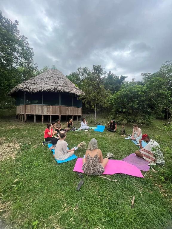 Ayahuasca Jungle Lodge - 5