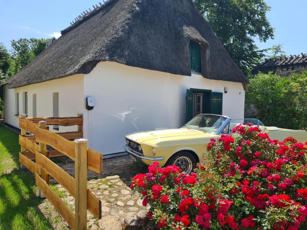 Das Reethaus - Midgard, Tolk