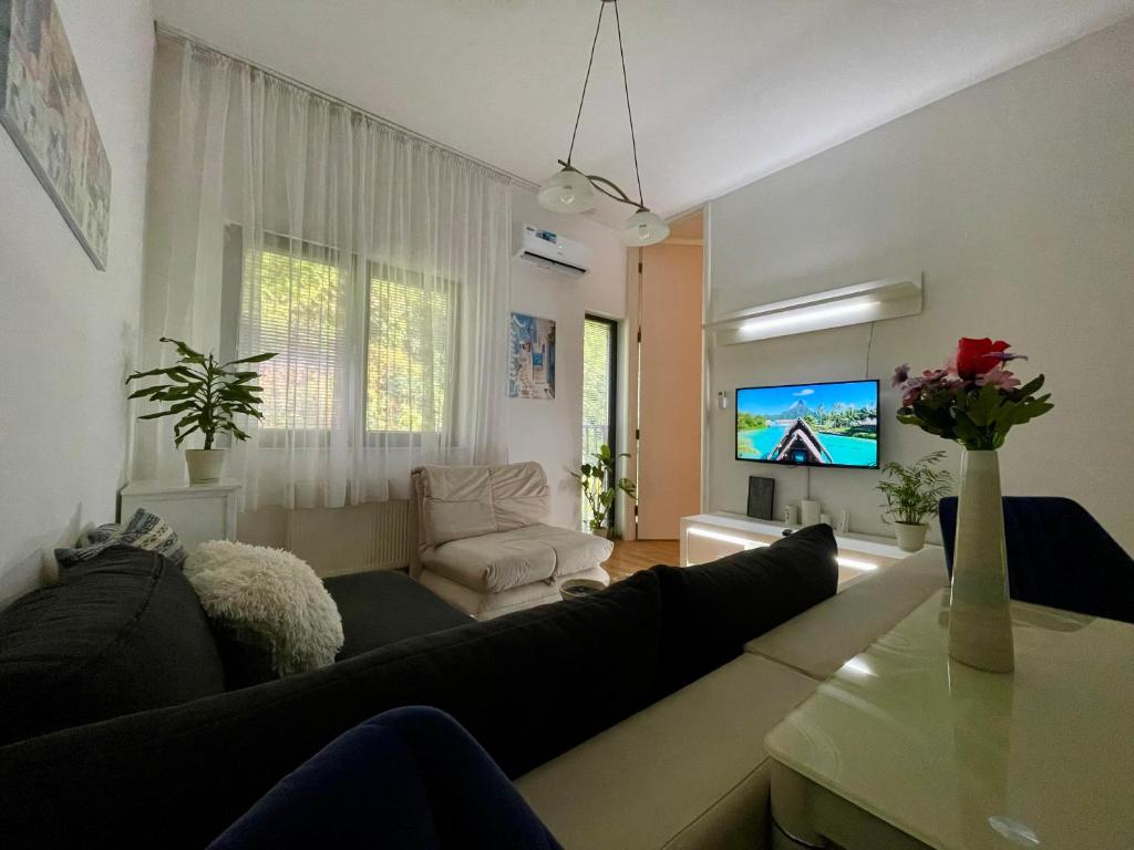 Apartman Centar Lujane - 2