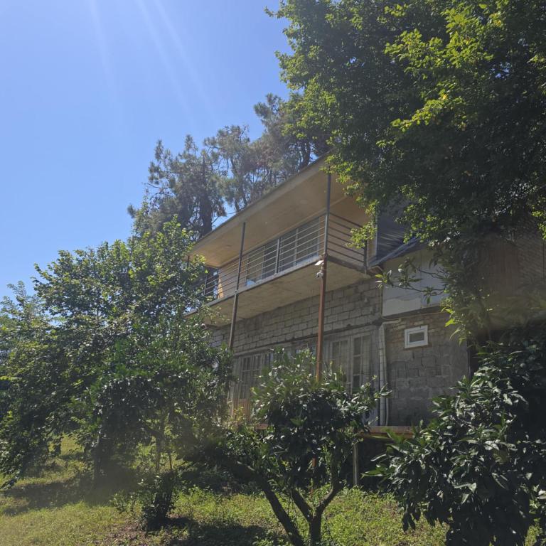 Guesthouse Pines, Urekis Sadguri