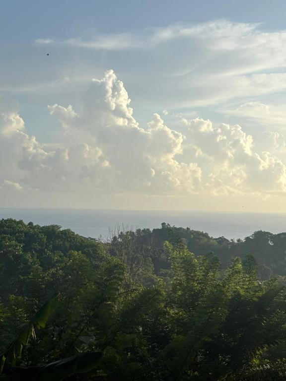 The Ridge - Stone Cottage, Buff Bay