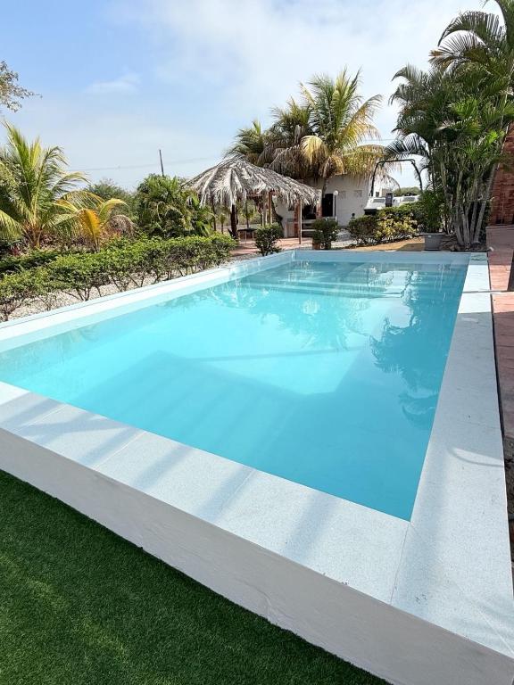 Las palmeras con piscina - 2