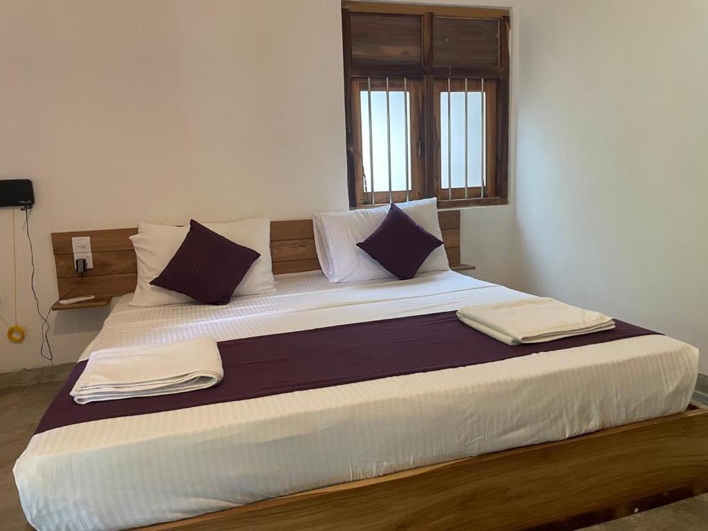 Apex studio, Dikwella