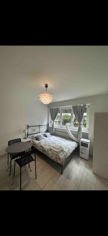 Studio in Basel, Basel Card, Basilej