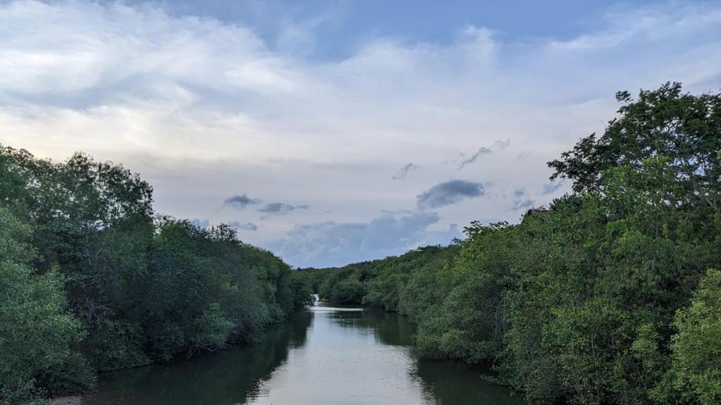 The Alpha monkey tree house, Tangalle
