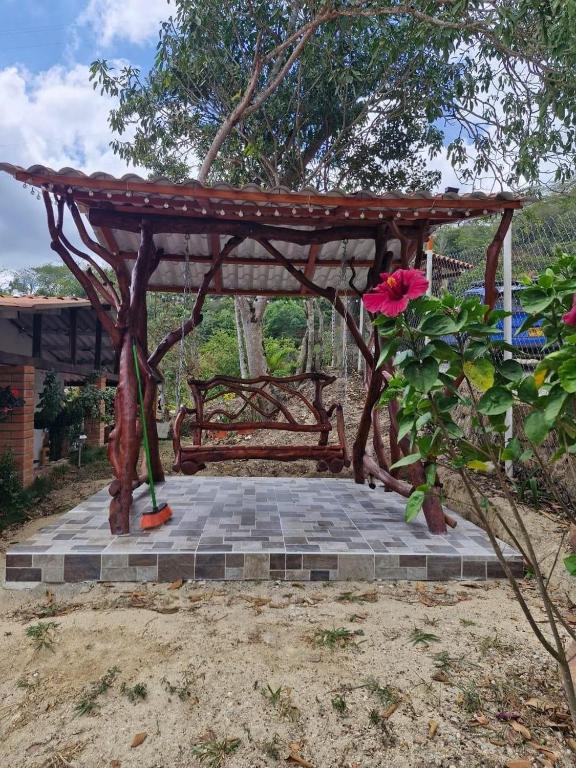 Ana Lucia-Casa del arbol - 5