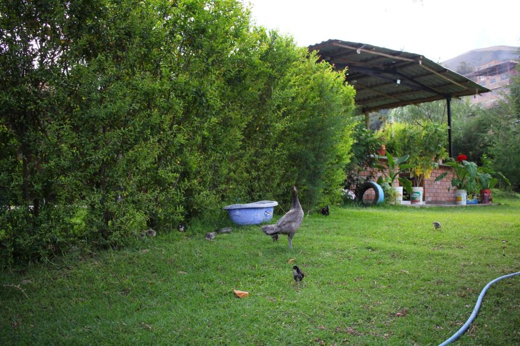 Hostel "La Casa de Ricky" - 2