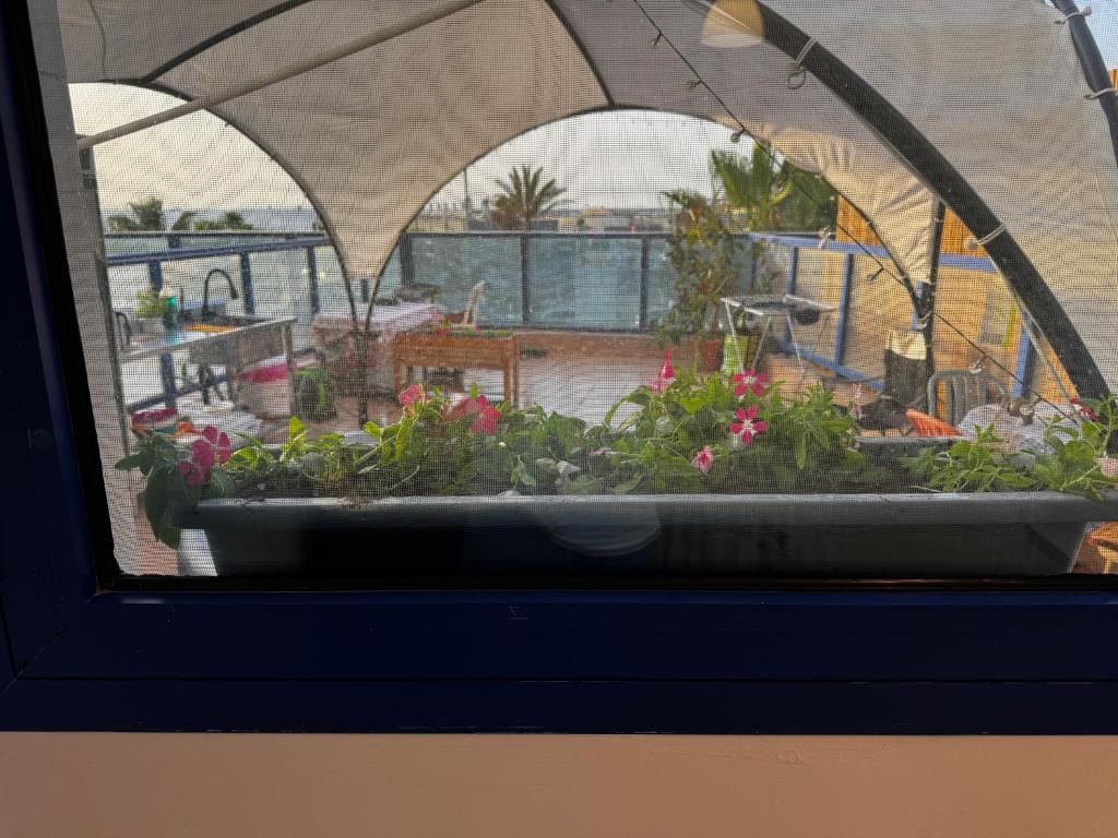 Swita Nir - Hot tub, Beach & Barbeque, Ašdod