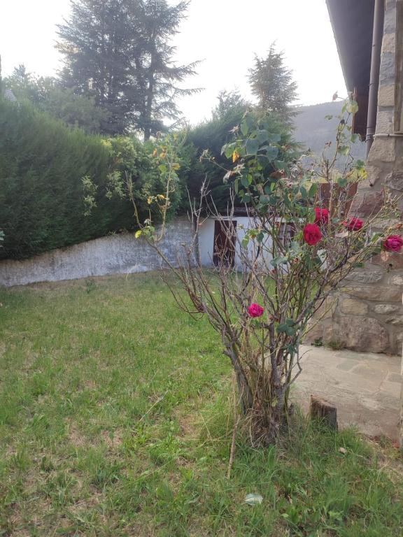 3p montagnard proche activité - 5