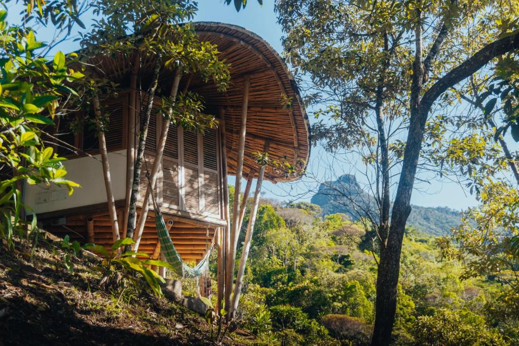 Tabor Ecolodge - 2