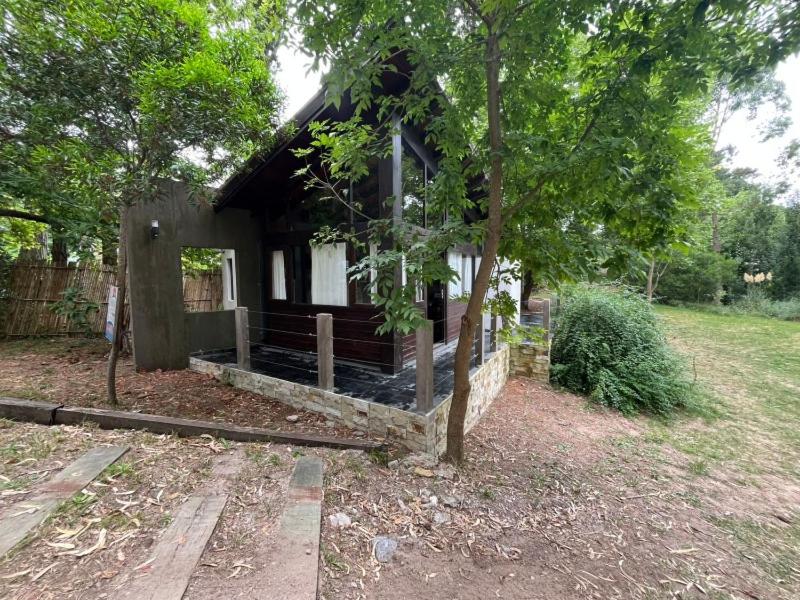 Las Cortaderas - 5