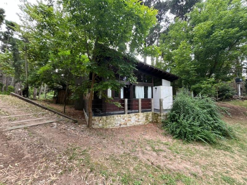 Las Cortaderas, Mar Azul