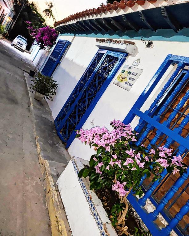 aguita sala, Choroní