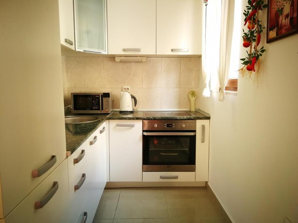 Gerbera Budva Montenegro - 4