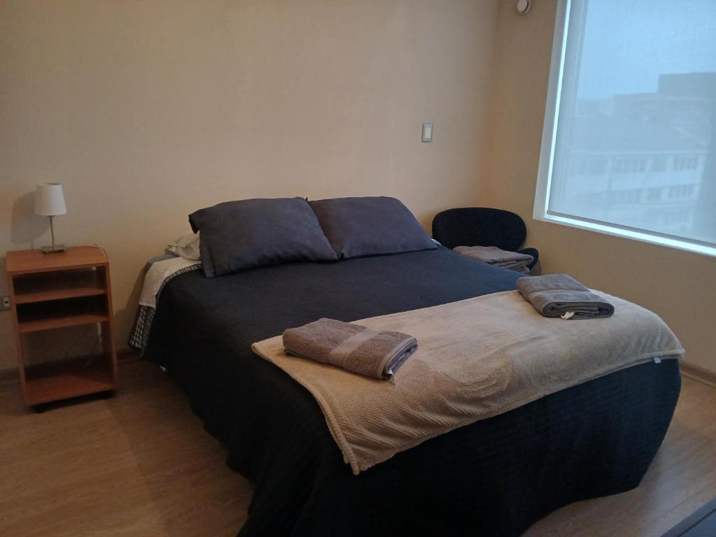 Departamento céntrico cochrane - 2