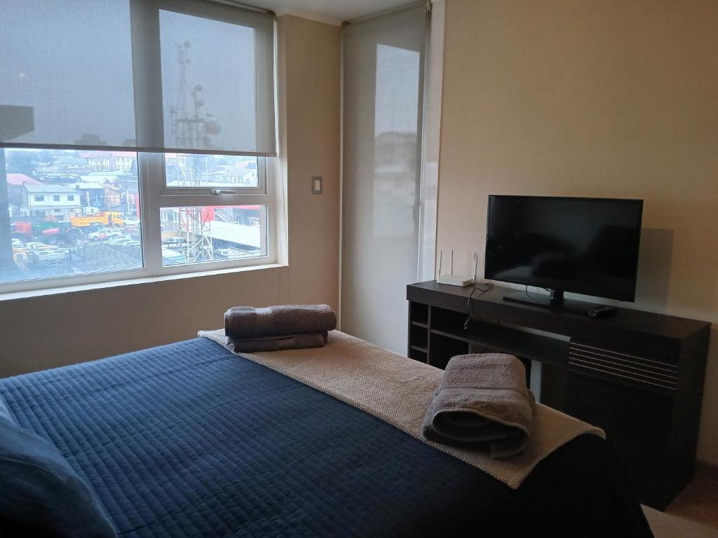 Departamento céntrico cochrane - 3