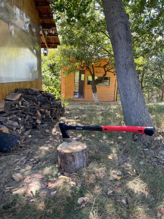 The Realm of Abundance Cottage, Crizbav