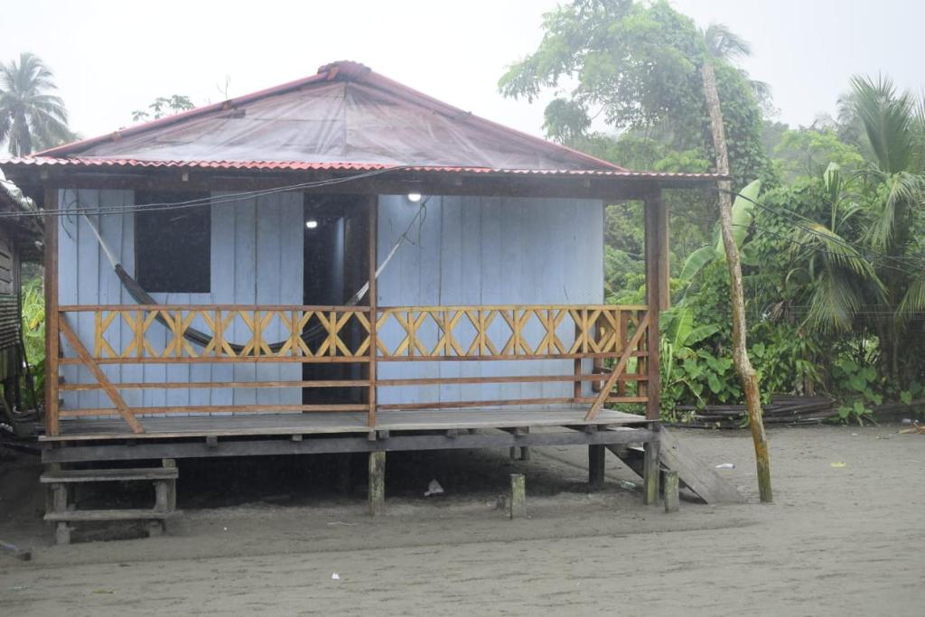 Hostal El manglar - 1
