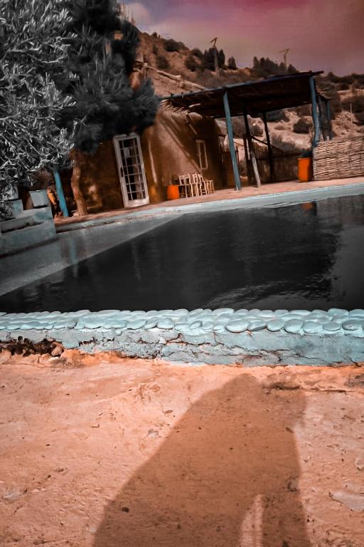 スイミングプール