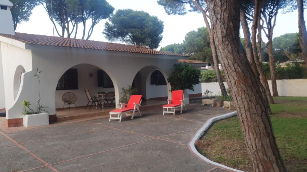 Pinos Verdes - 1