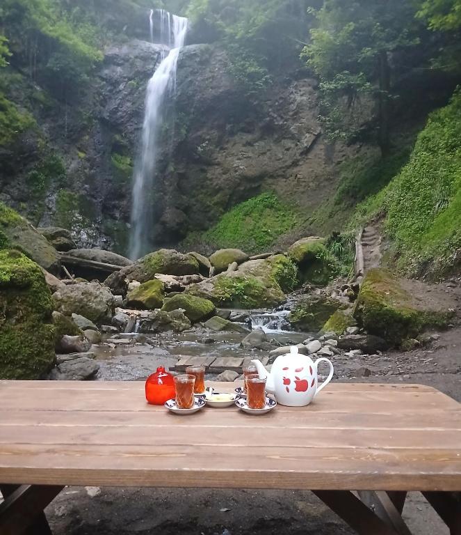 Daily guest house Sim, Sım