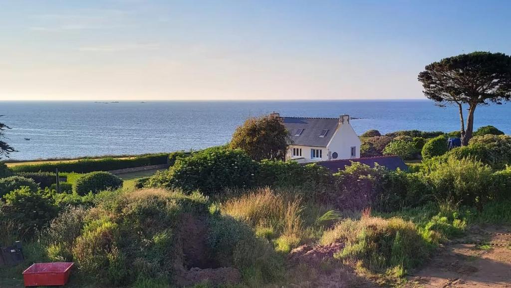 T'Albert Einstein, Pleubian