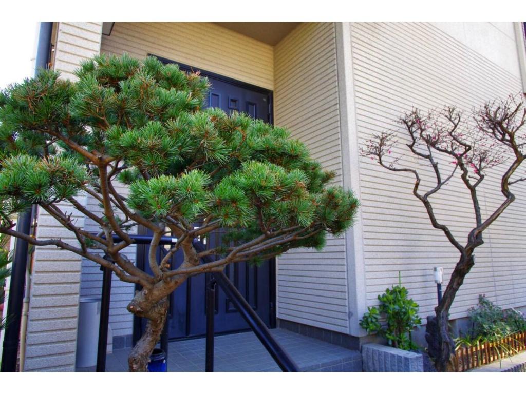 NYOZE House - Vacation STAY 84305v