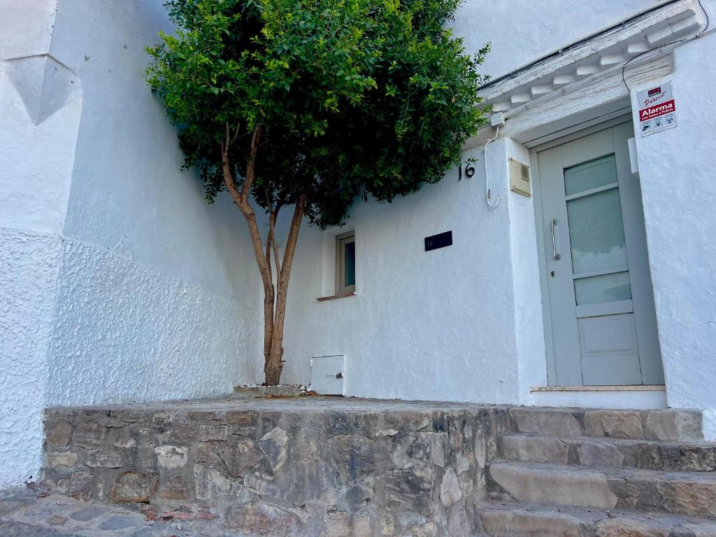 Casa 16, Jimena de la Frontera