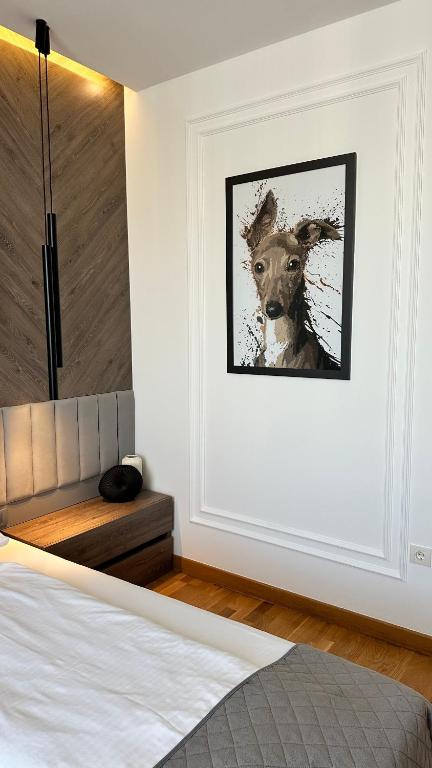 DOM Boutique Apartments - Park View - 2